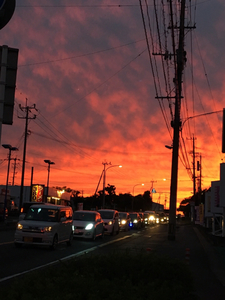 62FF22C2-B4CC-406A-AB14-321470AF4F46.jpg