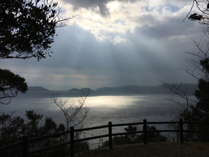 796B491C-6EE3-41DC-94A9-AD139F308FA7.jpg