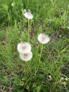8D9220CB-D3BE-4F61-B89D-22D0D1D3C11F.jpg