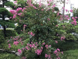 C6E1EC6D-73B3-4758-AEF4-8E971EA48B0F.jpg